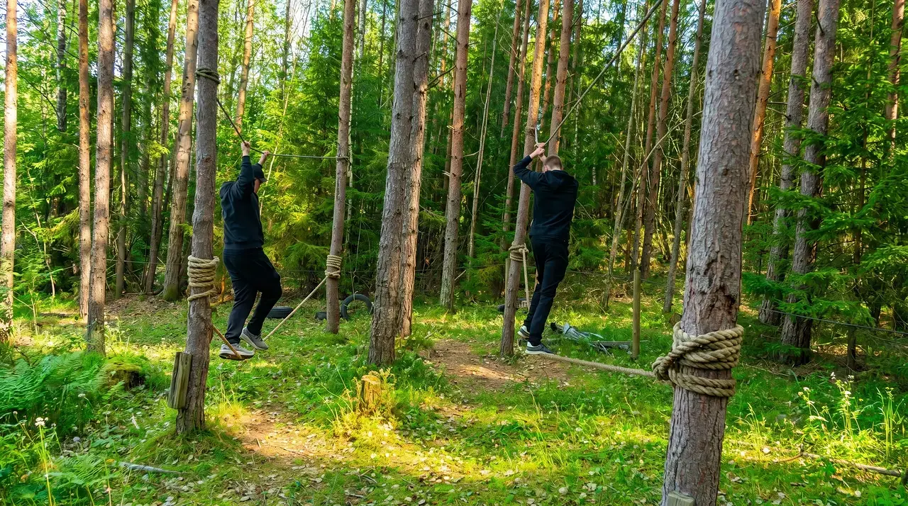 Två personer balanserar på linor mellan träd i skogen.